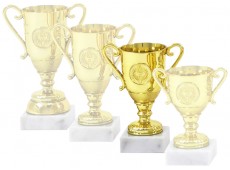 6573 C - Economy Cup